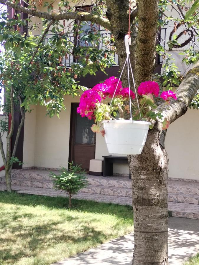 מלון Două Mai La Babusca מראה חיצוני תמונה